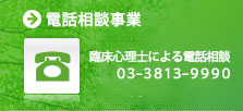 電話でのご相談　一般電話相談 03-3813-9990